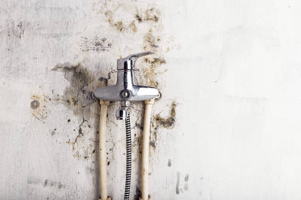 Best Post-Flood Mold Remediation in Santa Anna, TX