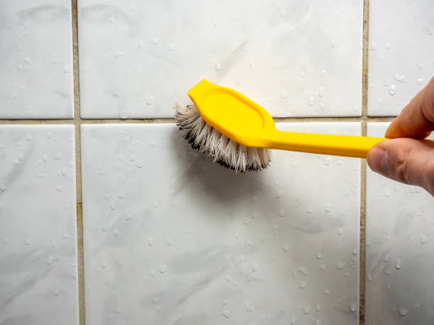 Best Bathroom Mold Remediation in Santa Anna, TX