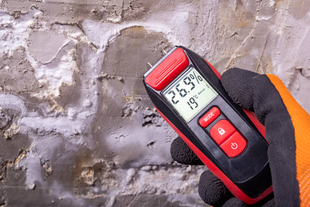 Best Emergency Mold Remediation in Santa Anna, TX