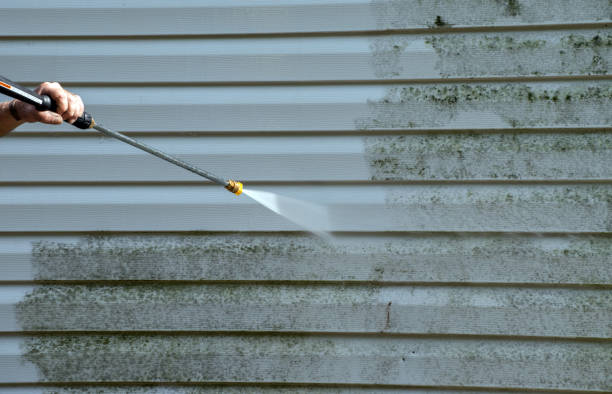 Best Mold Remediation for Specific Building Types in Santa Anna, TX