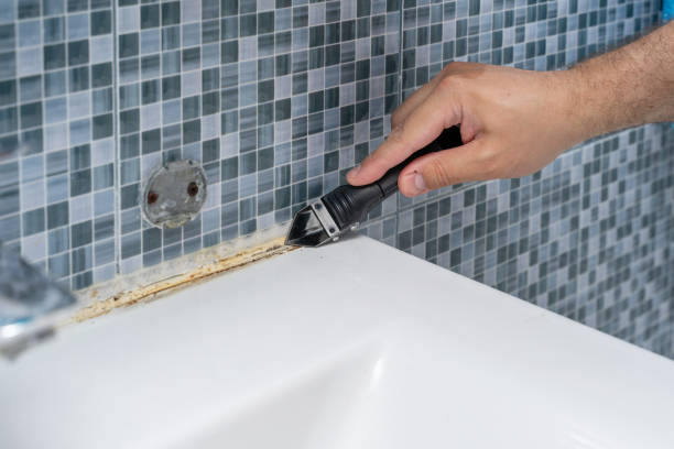 Best Mold Remediation for Specific Building Types in Santa Anna, TX