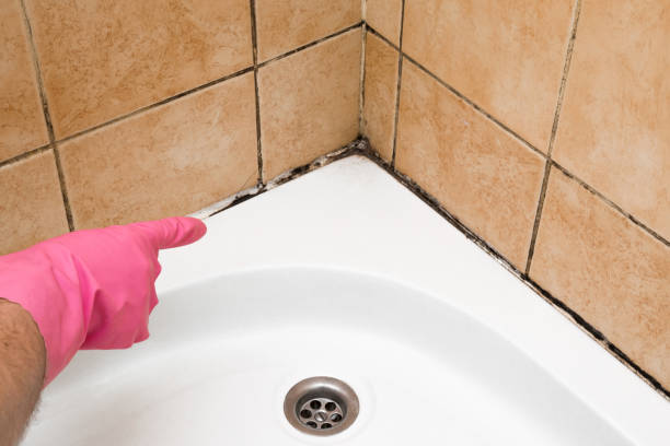 Best Crawl Space Mold Remediation in Santa Anna, TX